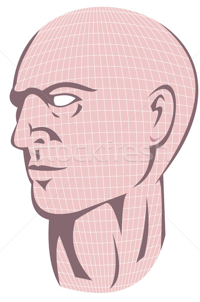 Männlich menschlichen Kopf Netz Illustration schauen Stock foto © patrimonio