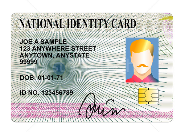 Carteira de identidade ilustração isolado branco Foto stock © patrimonio