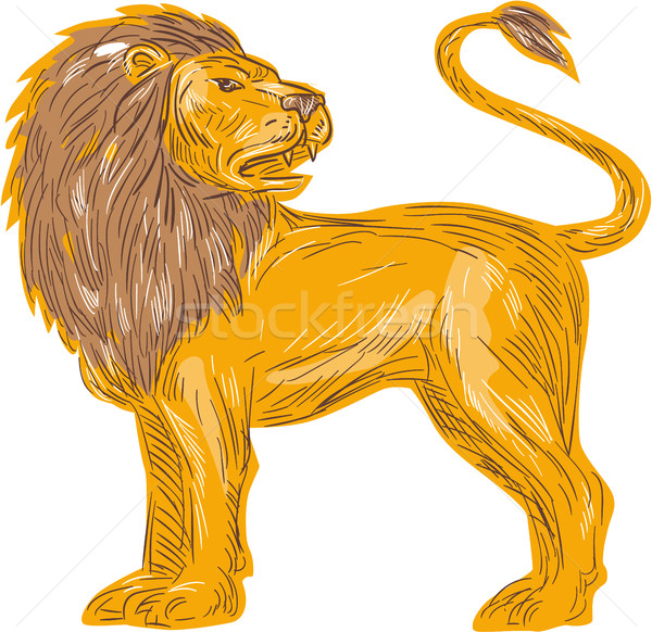 Angry Lion Big Cat Roaring Drawing Stock photo © patrimonio