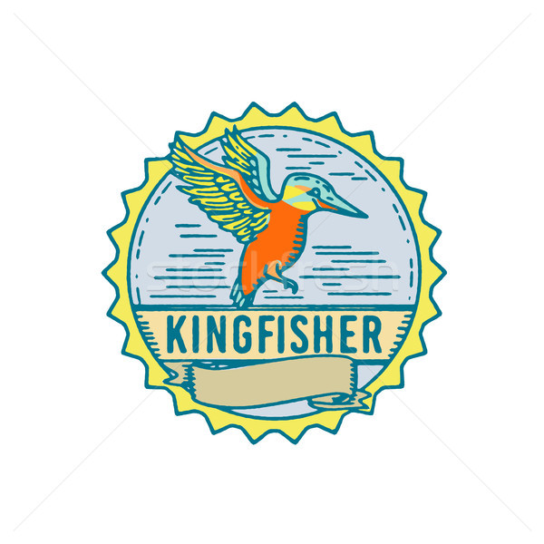 Kingfisher côté rétro illustration battant défiler Photo stock © patrimonio
