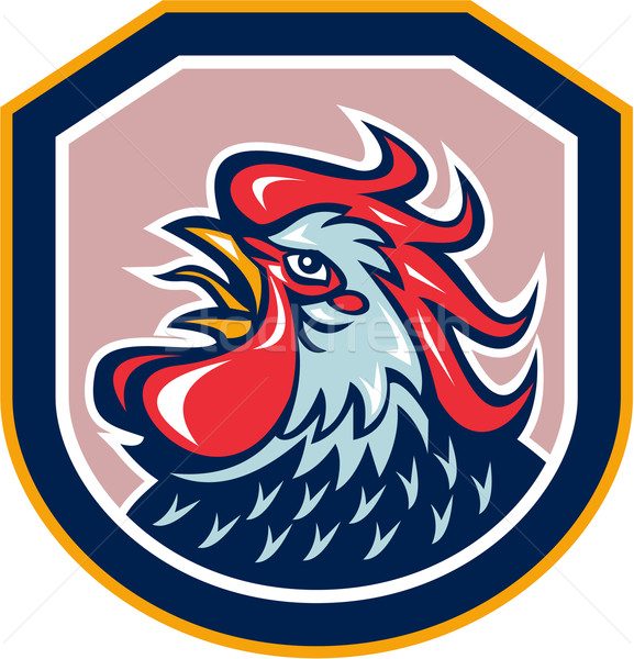 Rooster Cockerel Crowing Shield Retro Stock photo © patrimonio