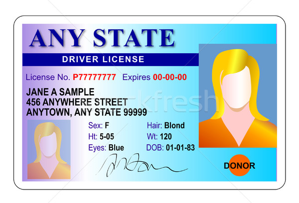 Weiblichen Fahrer Lizenz isoliert weiß Illustration Stock foto © patrimonio