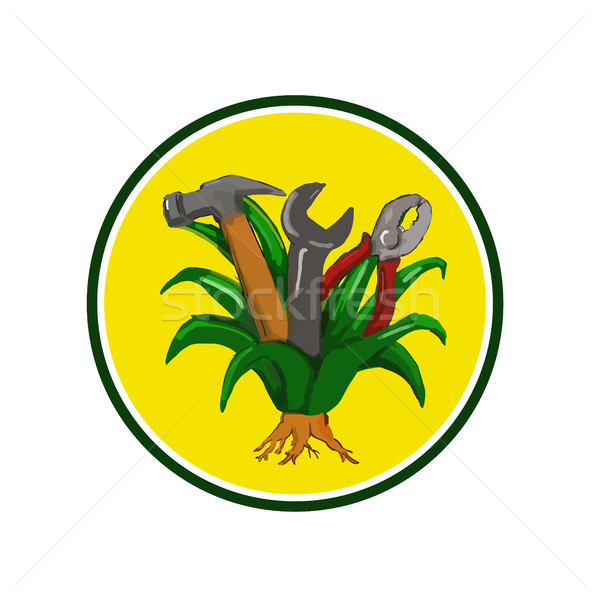 Agave With Hammer Spanner Pliers Water Color Stock photo © patrimonio