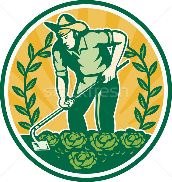 Farmer Gardener With Garden Hoe Cabbage Stock photo © patrimonio