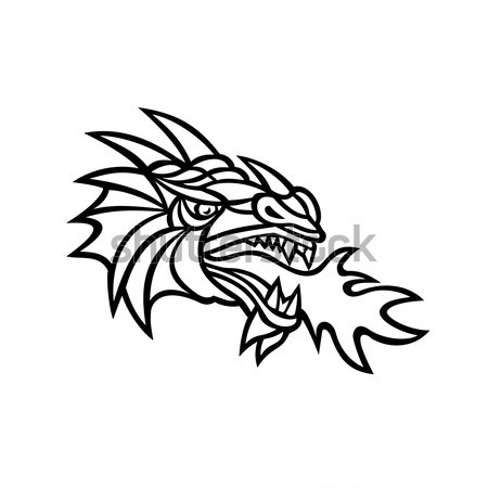 Dragão cabeça mandala ilustração mítico criatura Foto stock © patrimonio