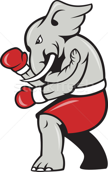Elefant boxer box atitudine desen animat ilustrare Imagine de stoc © patrimonio