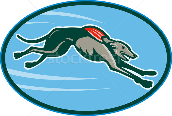 Greyhound racing and jumping set inside oval Stock photo © patrimonio