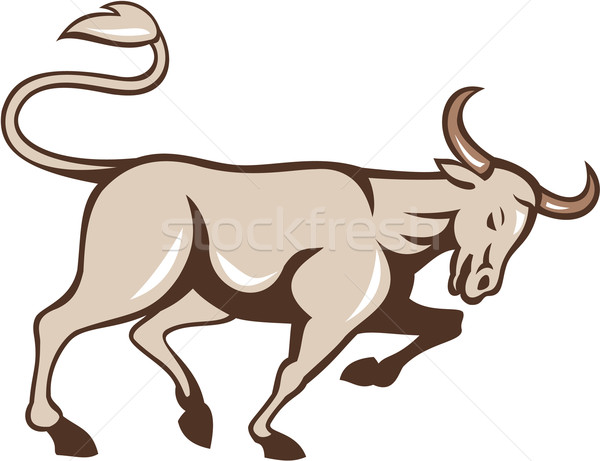 Bull Charging Side Cartoon Stock photo © patrimonio
