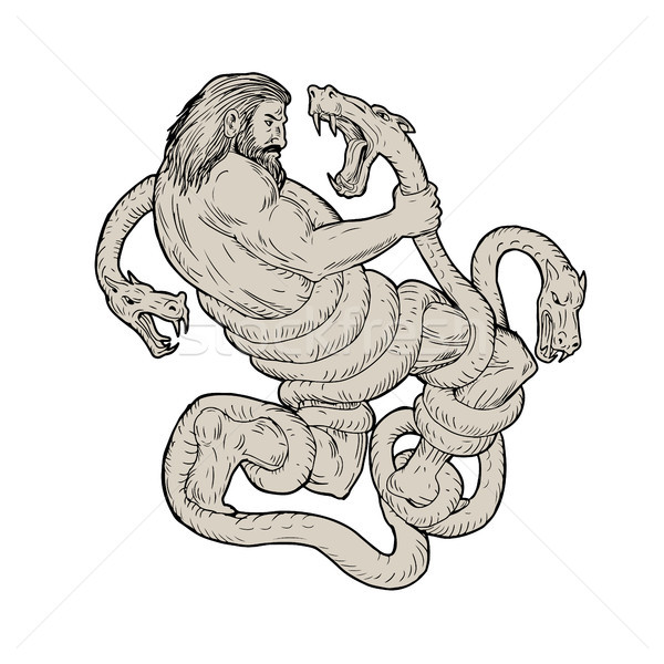 Hercules Fighting  Lernaean Hydra  Drawing Stock photo © patrimonio