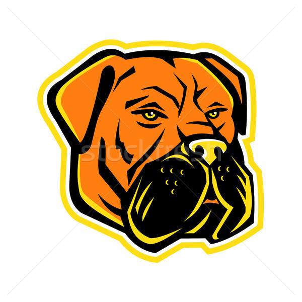 Bullmastiff Dog Mascot Stock photo © patrimonio