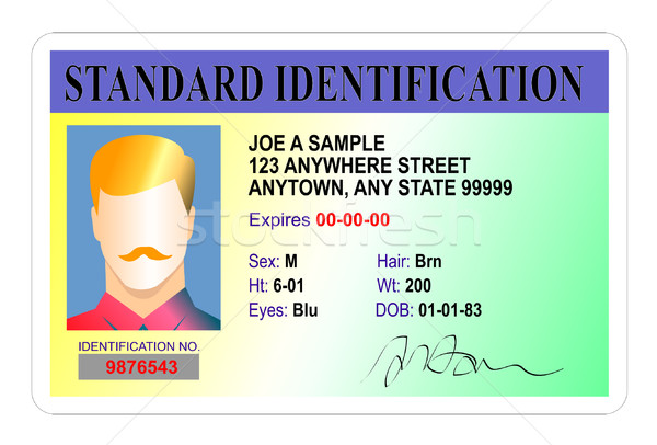 [[stock_photo]]: Homme · norme · identification · carte · illustration · isolé