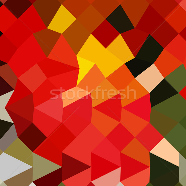 Lava Red Abstract Low Polygon Background Stock photo © patrimonio