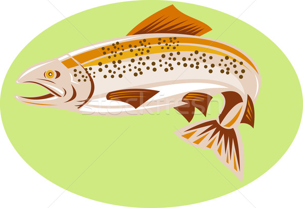 Forel vis springen illustratie retro-stijl Stockfoto © patrimonio