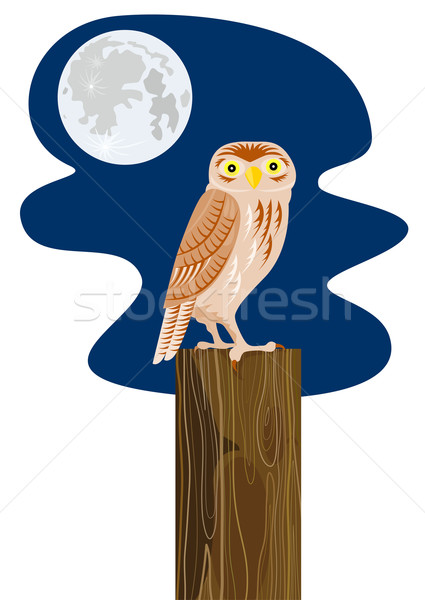 Owl on Branch Retro Stock photo © patrimonio