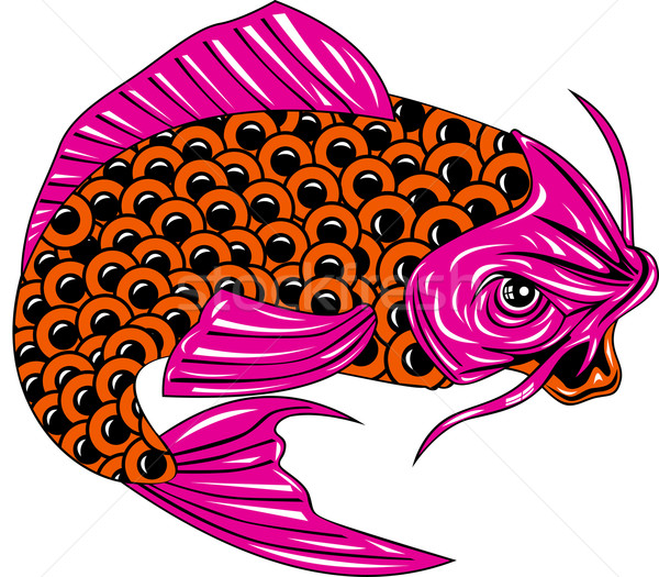 Koi Carp Fish Jumping Stock photo © patrimonio