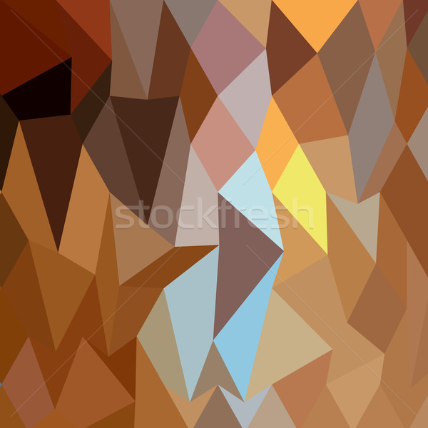 Stock photo: Dark Tangerine Abstract Low Polygon Background