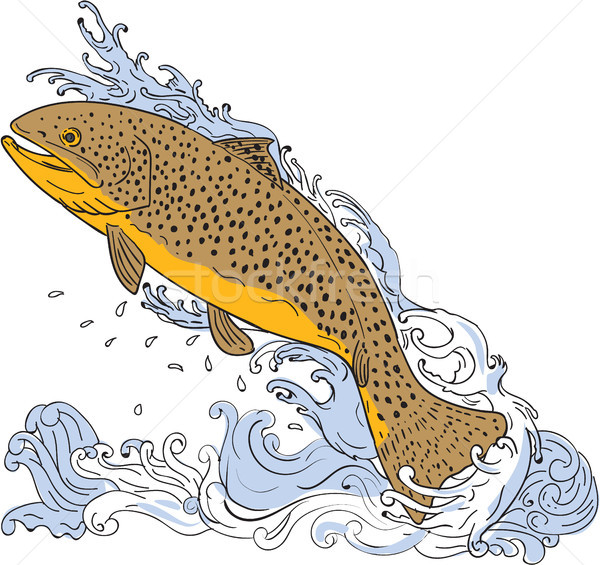 Brown Trout Swimming Up Turbulent Water Drawing Stock photo © patrimonio