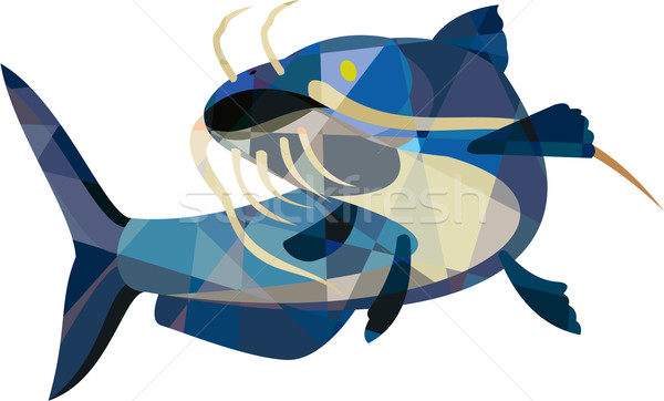 Catfish Mud Cat Looking Up Low Polygon Stock photo © patrimonio