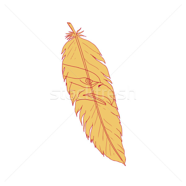 Sea Eagle Head Inside Feather Drawing Stock photo © patrimonio