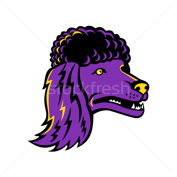 Poodle Head Mascot Stock photo © patrimonio