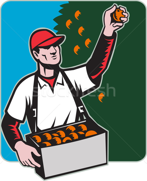 Stock photo: Fruit Picker With Basket Retro Woodcut