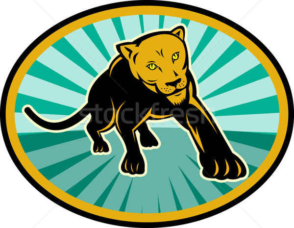 獅子 美洲獅 插圖 商業照片 © patrimonio