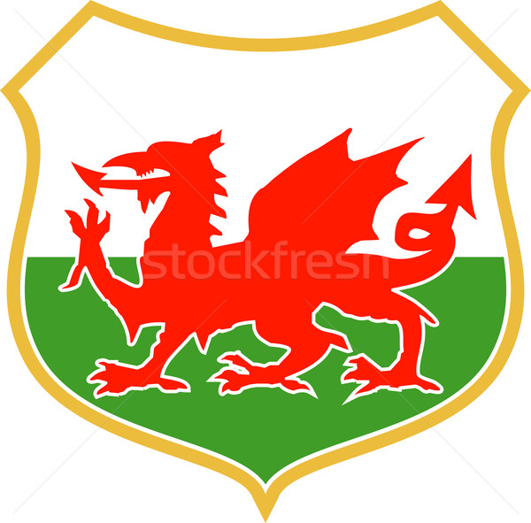 red welsh dragon Stock photo © patrimonio