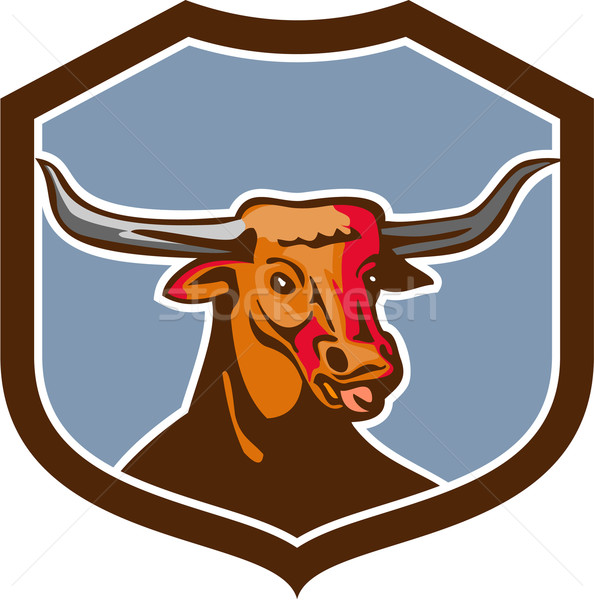 Texas Longhorn Red Bull Shield Retro Stock photo © patrimonio