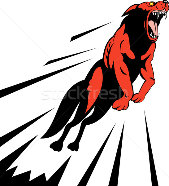 wild dog wolf jumping attacking Stock photo © patrimonio