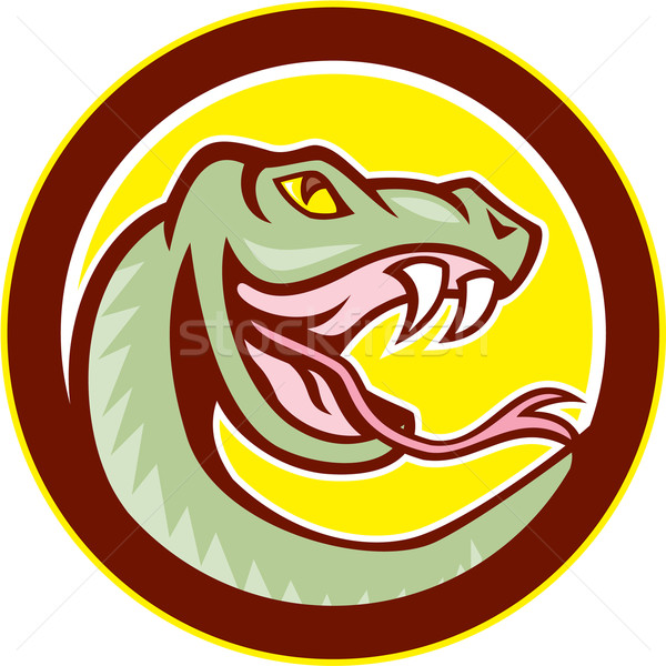Zörgés kígyó fej kör rajz illusztráció Stock fotó © patrimonio