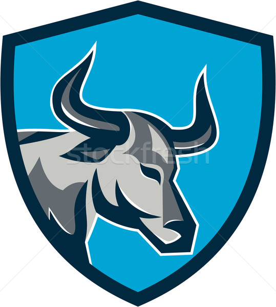 Texas Longhorn Bull Head Shield Retro Stock photo © patrimonio