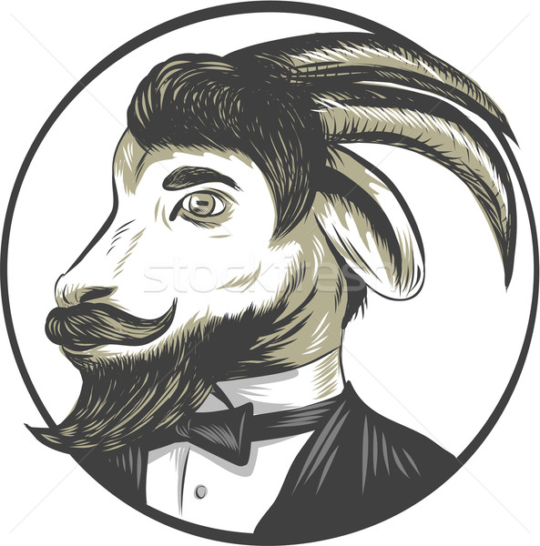 Goat Beard Tie Tuxedo Circle Drawing Stock photo © patrimonio