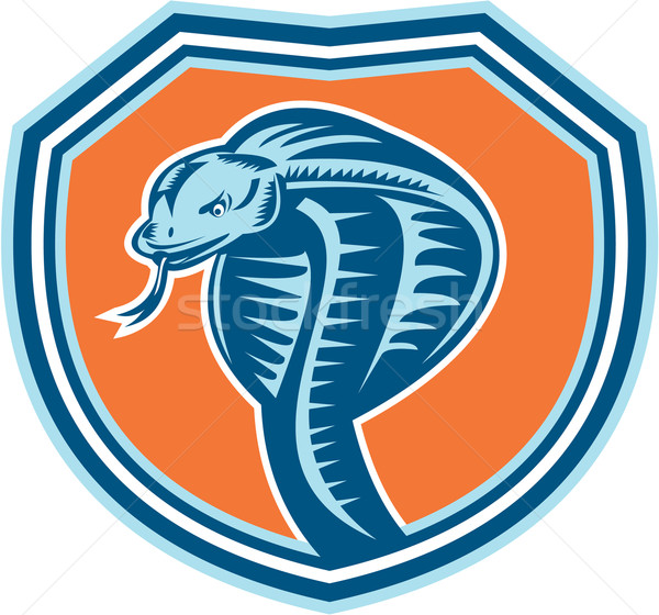Cobra serpent tête bouclier rétro illustration Photo stock © patrimonio