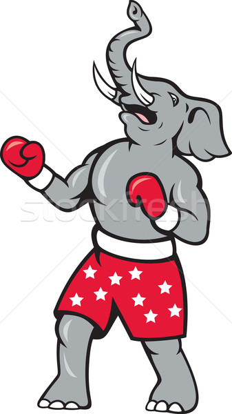 Elephant Boxer Boxing Stance  Stock photo © patrimonio