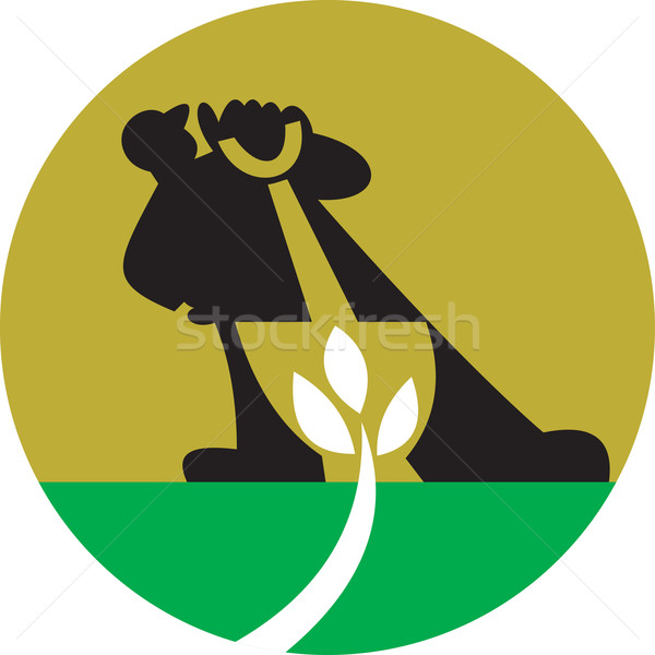 Gardener Landscaper With Shovel Digging Plant Stock photo © patrimonio