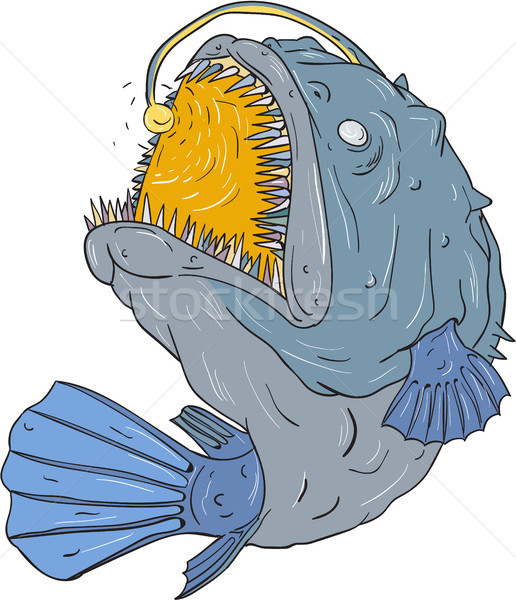 Stock photo: Anglerfish Swooping up Lure Drawing