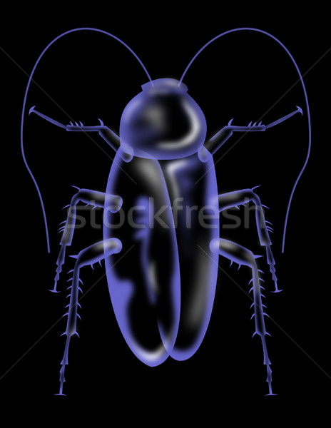 Hamamböceği siluet örnek siyah Stok fotoğraf © patrimonio