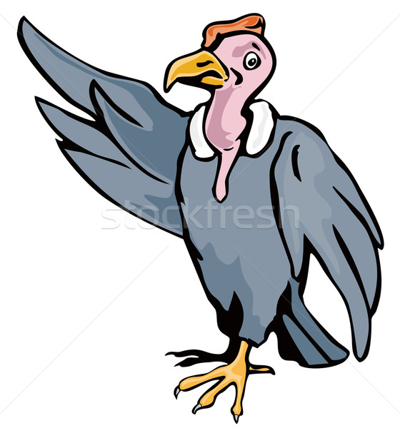 Cartoon avvoltoio illustrazione poiana isolato Foto d'archivio © patrimonio