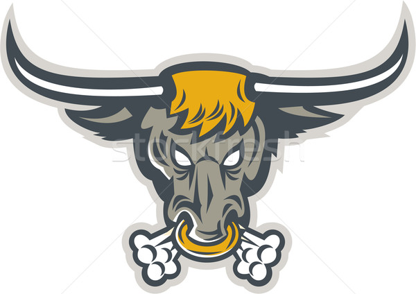 Texas Longhorn Bull Head Front Stock photo © patrimonio