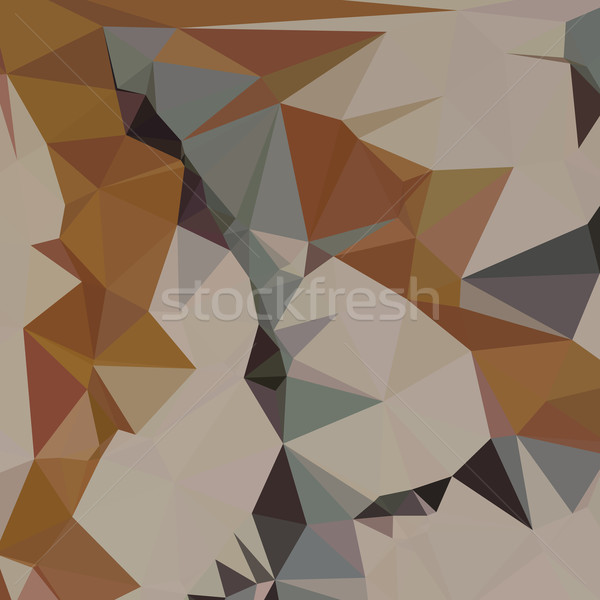 Cornsilk Brown Abstract Low Polygon Background Stock photo © patrimonio