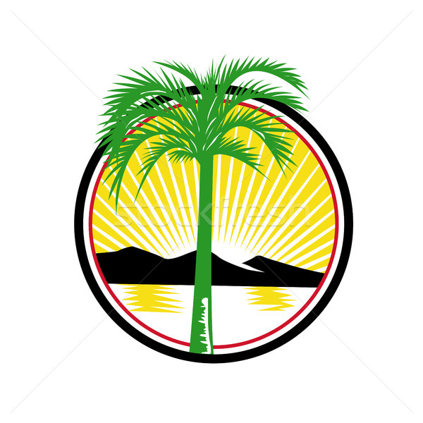Regal palmier plajă mare munte retro Imagine de stoc © patrimonio