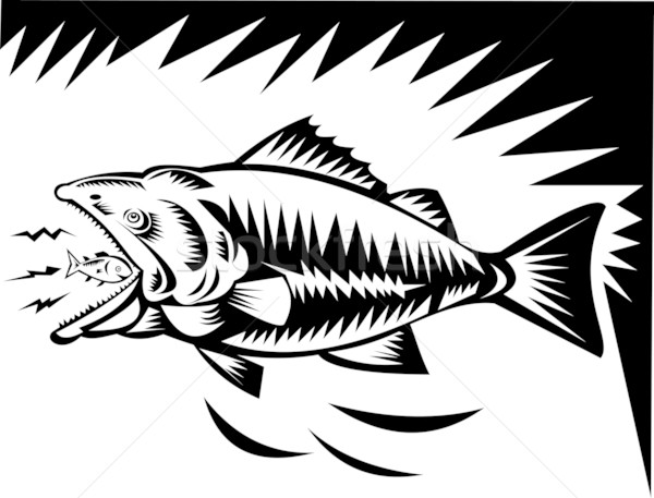 Stock photo: big fish eating a small fish