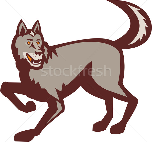 Gray Wolf Side View Retro Stock photo © patrimonio