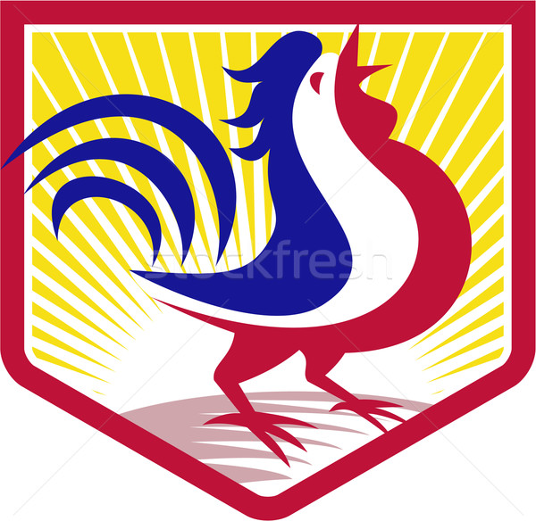 Rooster Cockerel Crowing Crest Stock photo © patrimonio