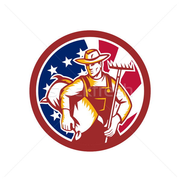 American Organic Farmer USA Flag Icon Stock photo © patrimonio