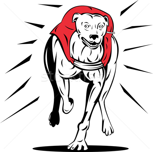 グレイハウンド 犬 レース レトロな 実例 レトロスタイル ストックフォト © patrimonio