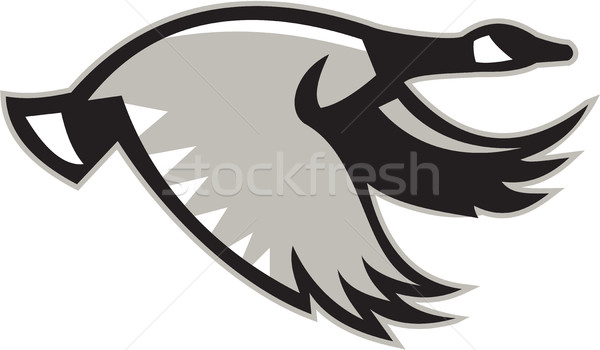 Canada Goose Flying Retro Stock photo © patrimonio