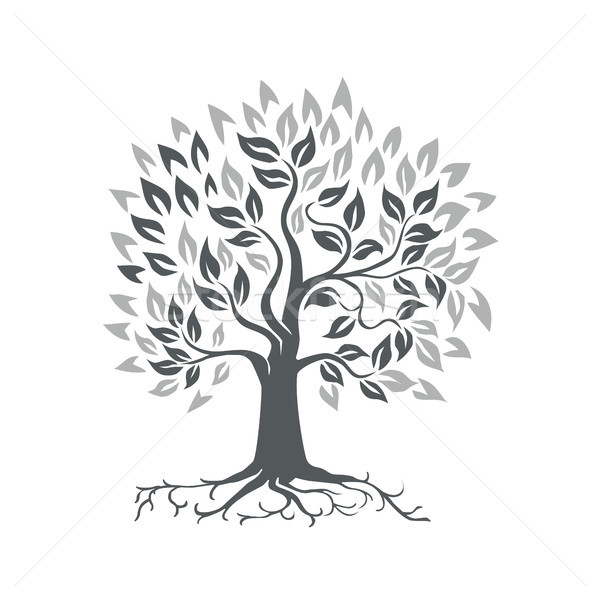 ストックフォト: 定型化された · 樫の木 · 根 · レトロな · レトロスタイル · 実例