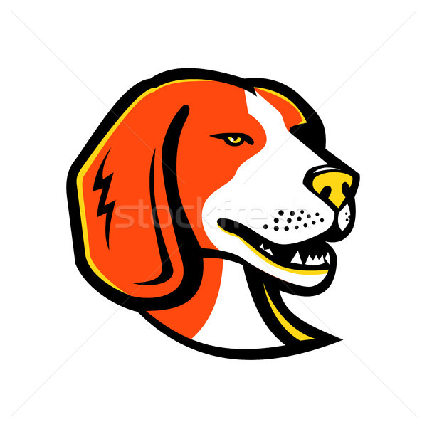 Bigle cão de caça cão mascote ícone ilustração Foto stock © patrimonio