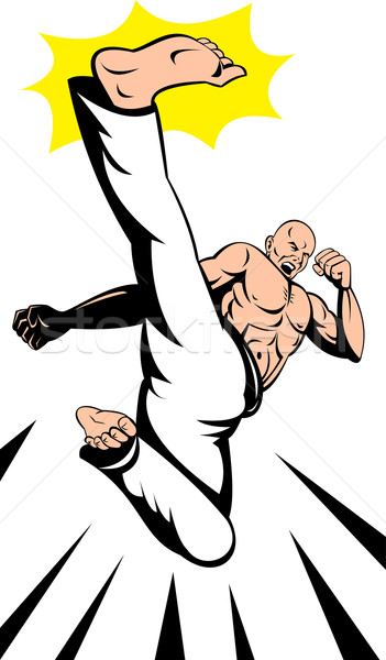 Vechtsporten karate kick illustratie mannelijke expert Stockfoto © patrimonio